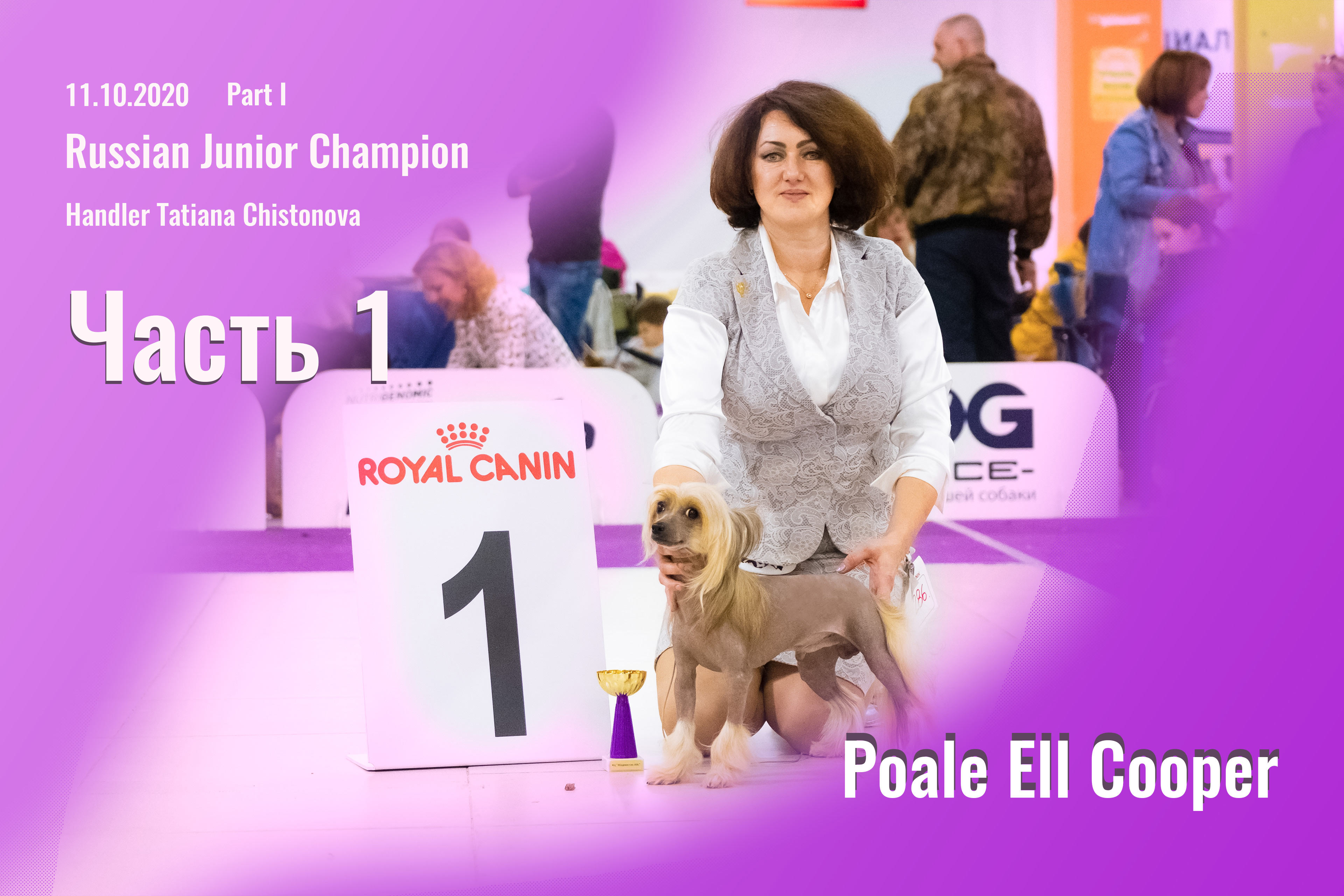 Part I. Poale Ell Cooper Russian Junior  Champion