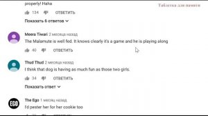 Комментарии иностранцев о России часть 67, Перевод  по следам таблетки для памяти