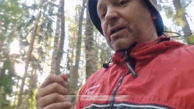 30 июля 23 г проверка грибов смотреть онлайн