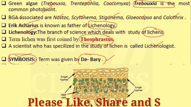 Lichens B.Sc 1st Year Botany/ Lichen B.Sc 1st Year Botany/General Characters/BSc 1st year 2nd Paper