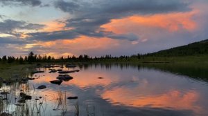 Комариный край.