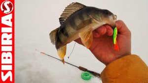 Самый уловистый балансир #4. Подводная проверка. ДАРЮ балансиры и блёсны Меркури