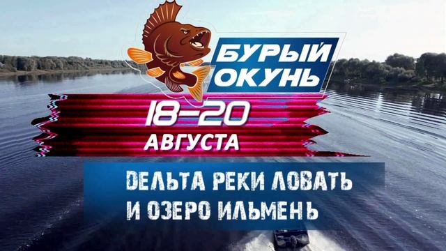 Анонс Турнира Brown Perch 2023