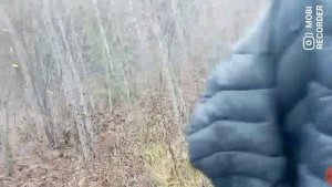 Пробиваемся в лес за клюквой на каракате