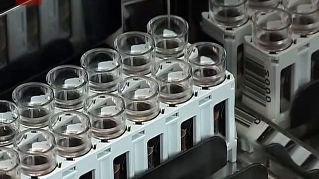 В городе создадут централизованную лабораторию крови