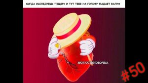 Мемы про террарию / Terraria meme #50