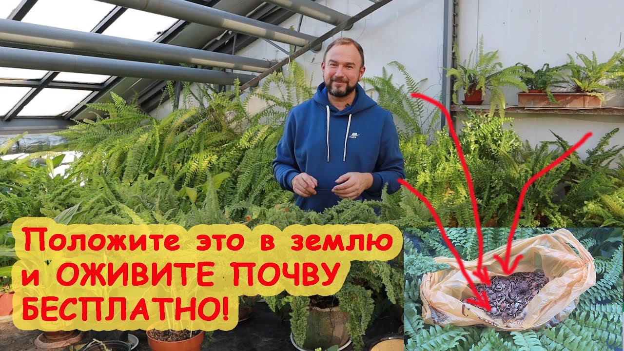 ВСЁ БУДЕТ РАСТИ КАК РАНЬШЕ! Бесплатное восстановление почвы. Почва тощая? НАКОРМИМ рассаду и огород.