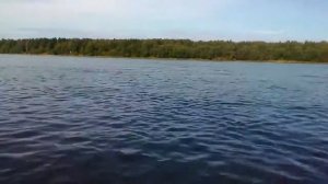 Ямаха 5 л.с. скорость.
