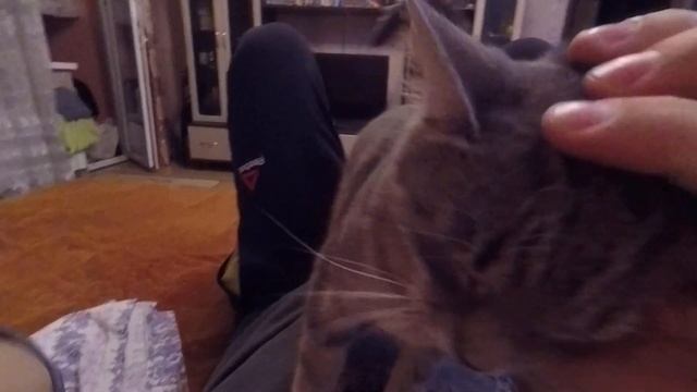 Шок!! Глажу волосатую киску своего брата, а она хочет ещё!! смотреть онлайн