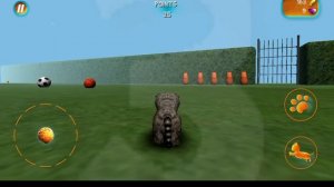 Обзор игры #4-Cat Simulator 2015