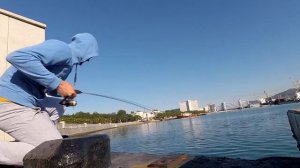 Рыбалка в Новороссийске