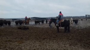 ловля бычка на лассо