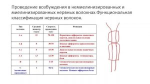 Экзамен по физиологии | ВОЗБУДИМЫЕ ТКАНИ