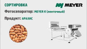 Сортировка арахиса на ленточном фотосепараторе MEYER