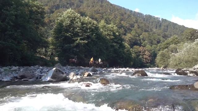 Одиночный кемпинг на берегу реки | Сочи смотреть онлайн