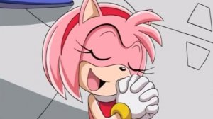 Кто такая Эми Роуз и что её связывает с Соником? | Портрет Таокаки