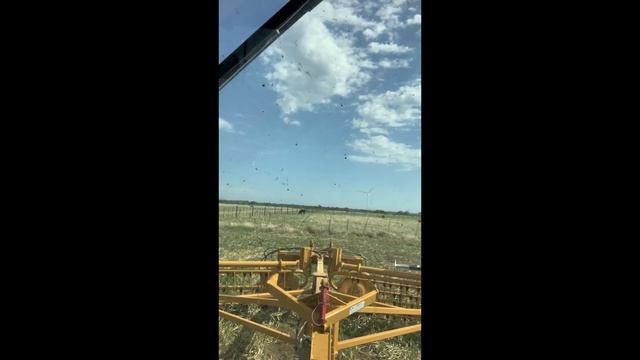 On The Ranch - Vermeer R2300 Twin Rake смотреть онлайн