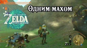 Одним махом. The Legend of Zelda Tears of the Kingdom. One-Hit Wonder! Nintendo Switch
