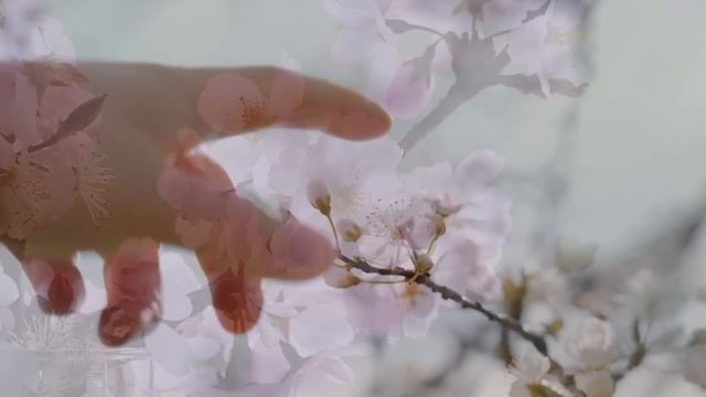 13 апреля народный праздник Ипатий Чудотворец. Чистый Четверг. Народные запреты, приметы и традиции смотреть онлайн