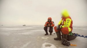 Что такое пярнуский комбайн? Ловля окуня на пярнуский комбайн. Зимняя рыбалка в Эстонии