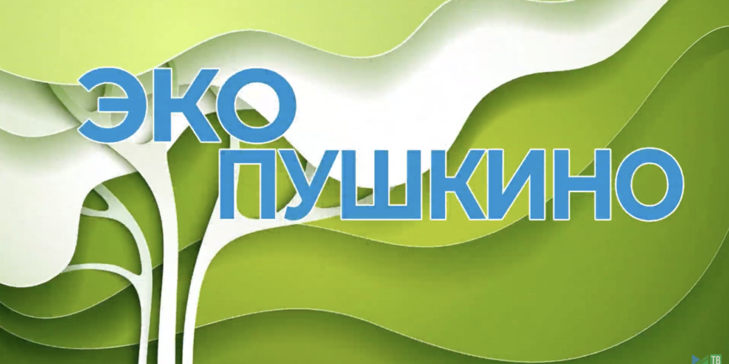«ЭкоПушкино»: Микропластик. Что это такое и почему его стоит избегать?