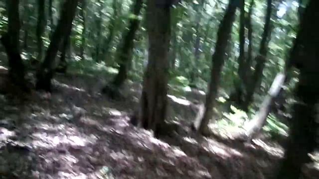 ГРУЗИЯ ГОТОВА ПРИНИМАТЬ ТУРИСТОВ-МЦХЕТА,САГУРАМО,ЗЕДАЗЕНИ ЛЕСА И ЛУГА!!! смотреть онлайн