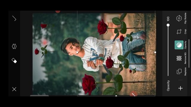 Rose Concept photo editing PicsArt | Moody Green tone editing | And Full photo HD editing |