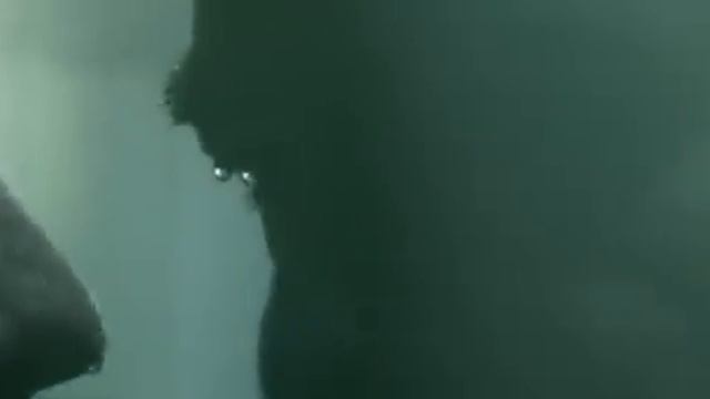 искусственный интеллект