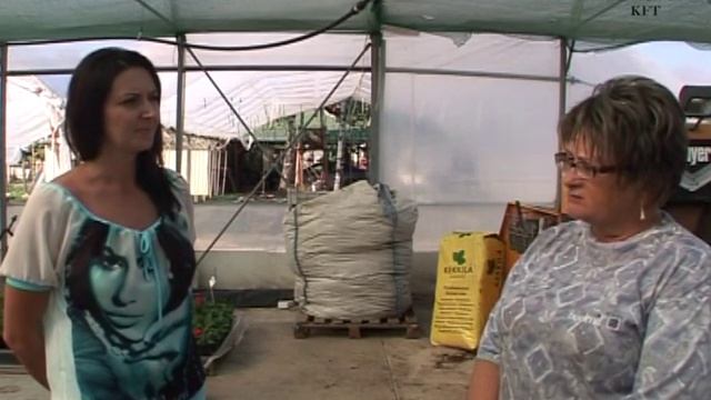 kekkila balsa смотреть онлайн