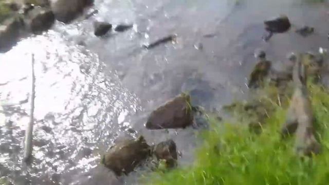 база отдыха бодрость смотреть онлайн