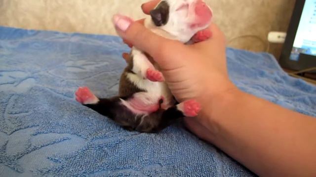 MVI 0537 смотреть онлайн