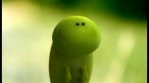 Букашки "Бездомная"