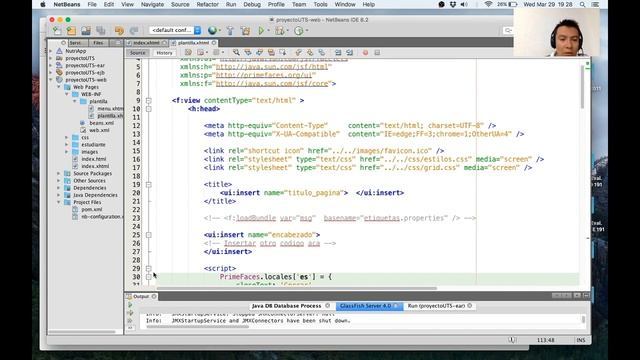 JavaEE + GlassFish + Netbeans - 2 Vistas Primefaces