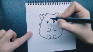 How to Draw a Cute Hamster. ? Как нарисовать милого хомяка.