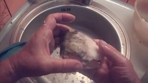 Котлеты из костлявой рыбы