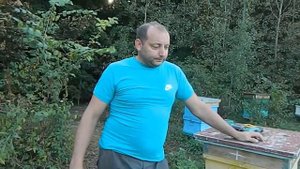 ПЕРЕВОЗКА ПЧЁЛ