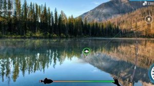 My Fishing World : Вырезуб (Ежедневное задание, Озеро Тихое) #myfishingworld