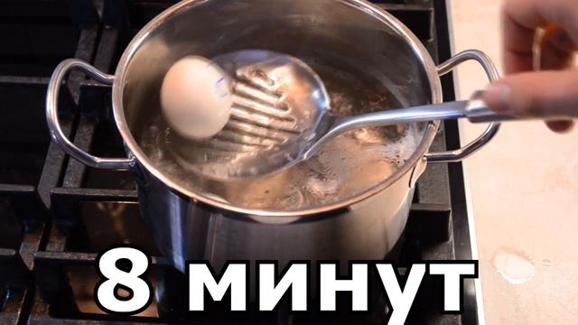 Яйца по расписанию // EGGS ON SCHEDULE смотреть онлайн