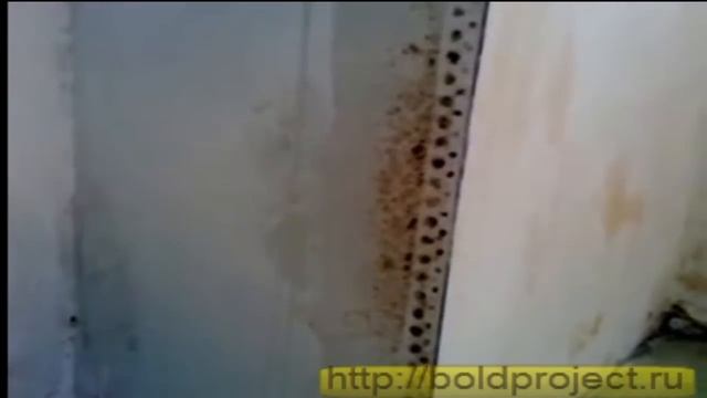 Как убрать плесень со стен
