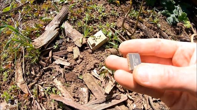 СТАЛК ЗА РАДИОДЕТАЛЯМИ И ЦВЕТНЫМ МЕТАЛЛОМ ПО НЕБОЛЬШИМ СВАЛКАМ ВДОЛЬ РЕКИ!!!