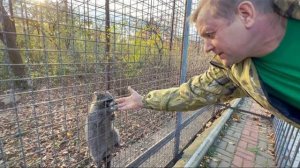 Так что случилось с ХЕРСОНСКИМИ ЕНОТАМИ и почему всех интересует судьба только ОДНОГО ЕНОТА?