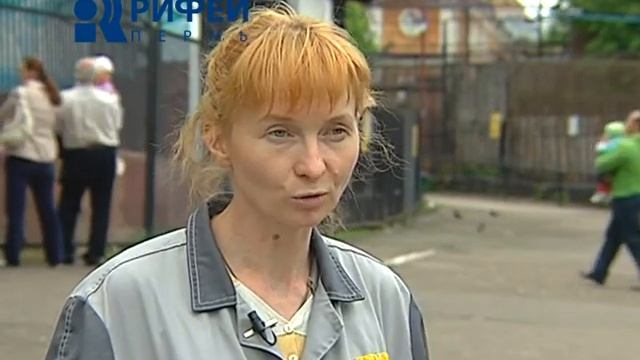 Родился олененок смотреть онлайн