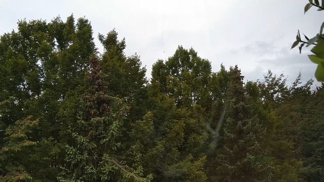 "Кто успел-тот и съел" смотреть онлайн