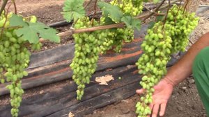 В гостях у Алексея Шульги