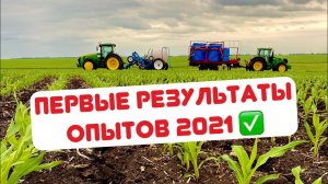 ПЕРВЫЕ РЕЗУЛЬТАТЫ ОПЫТОВ 2021 ✅ ПО ИНДЕКСУ NDVI на 28.05.2021✅