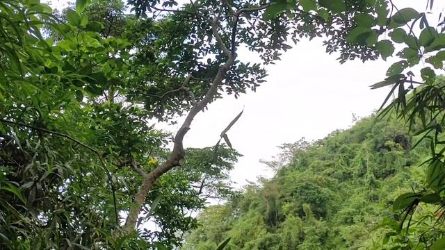 Mt  Tagapo, Binangonan, Rizal, Philippines
