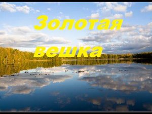 Золотая вешка озеро Талдомского раиона 30/07/2015 Г