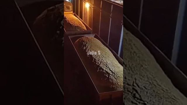 ЧТО БУДЕТ, ЕСЛИ МОЛЧАТЬ МЕСЯЦ смотреть онлайн