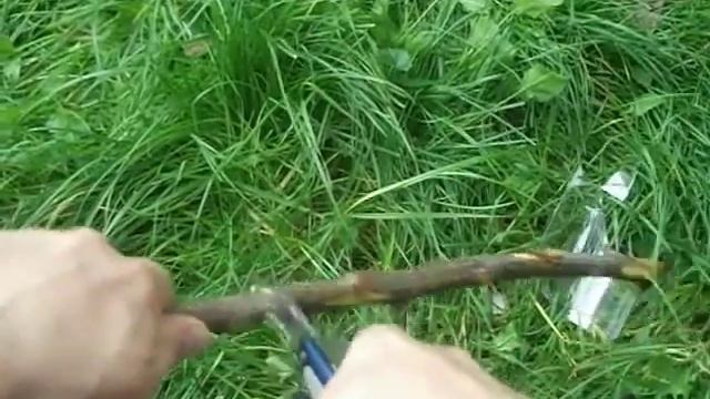 multitool macalister