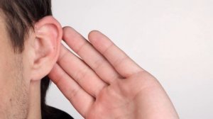 ЧТО БУДЕТ, ЕСЛИ ЗАСУНУТЬ КОШКУ В МИКРОВОЛНОВКУ